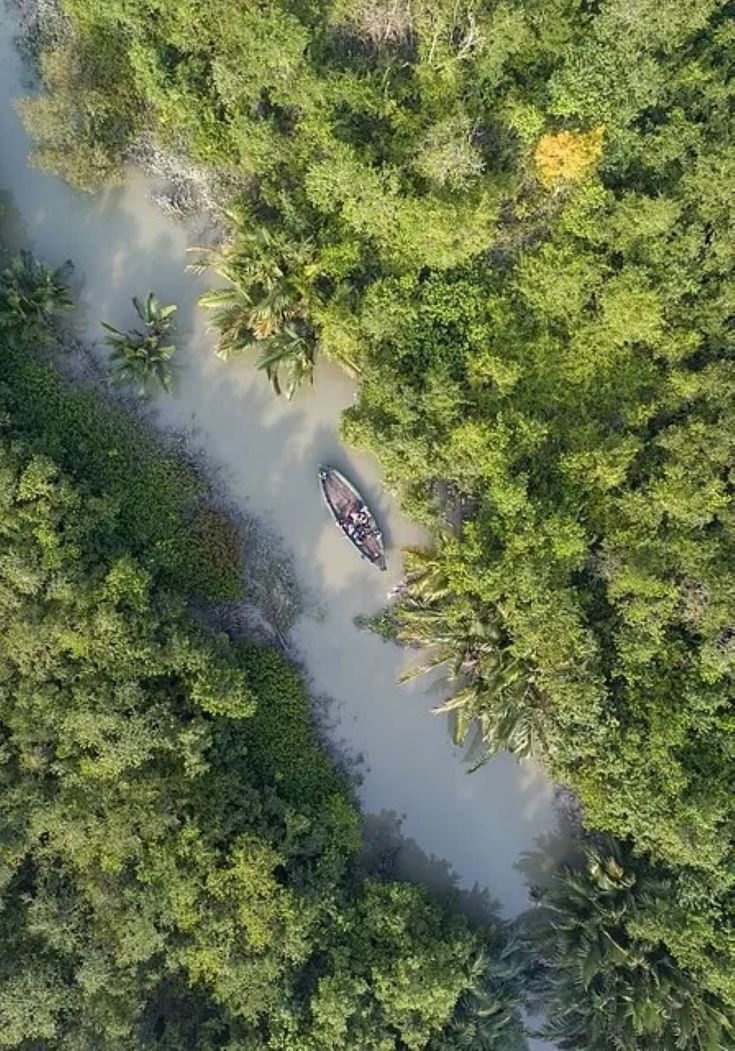 Matang Mangrove Forest Reserve