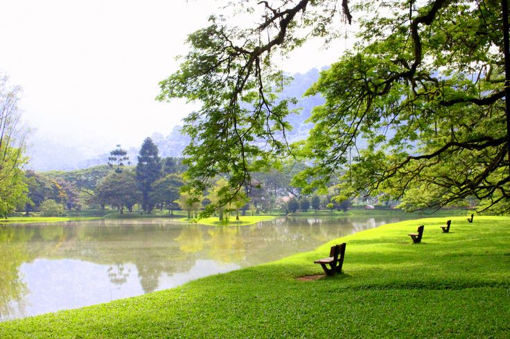 Taiping Lake Gardens