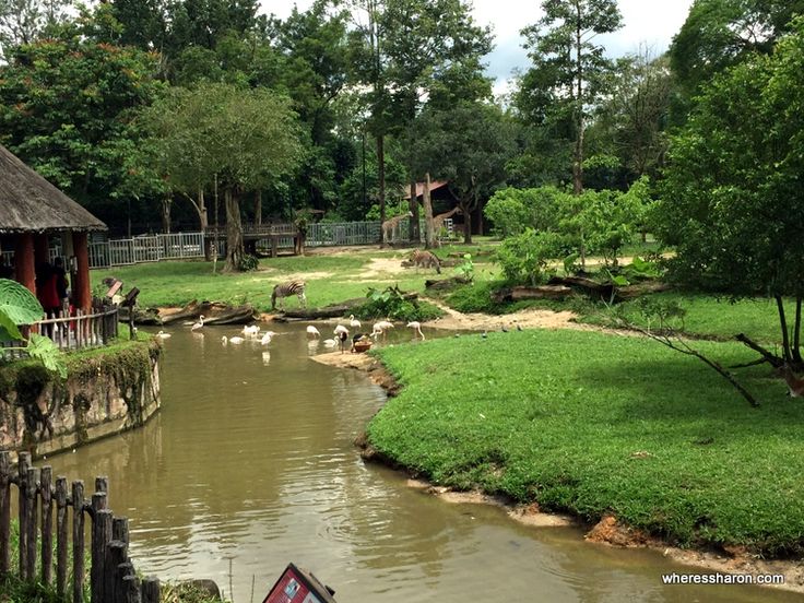 Taiping Zoo